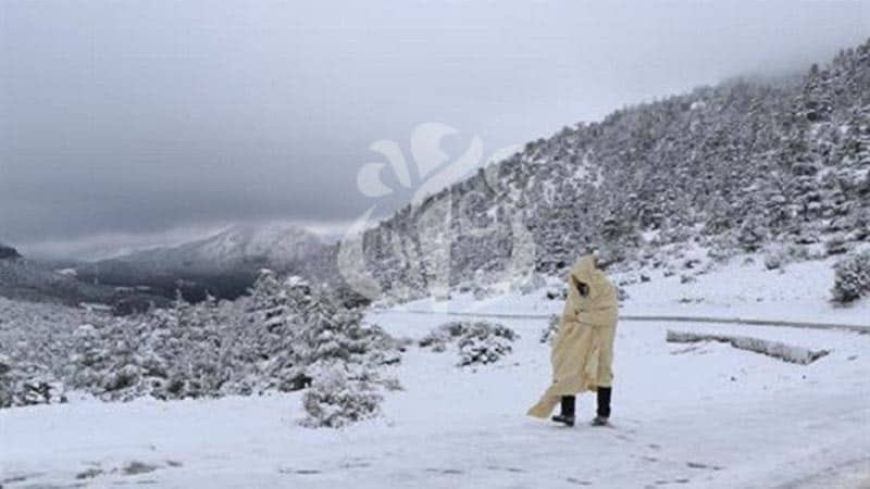  Photos: Les premiers flocons de neige sur les hauteurs de Batna
