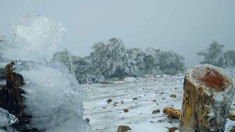  Photos: Les premiers flocons de neige sur les hauteurs du Djebel Chelia