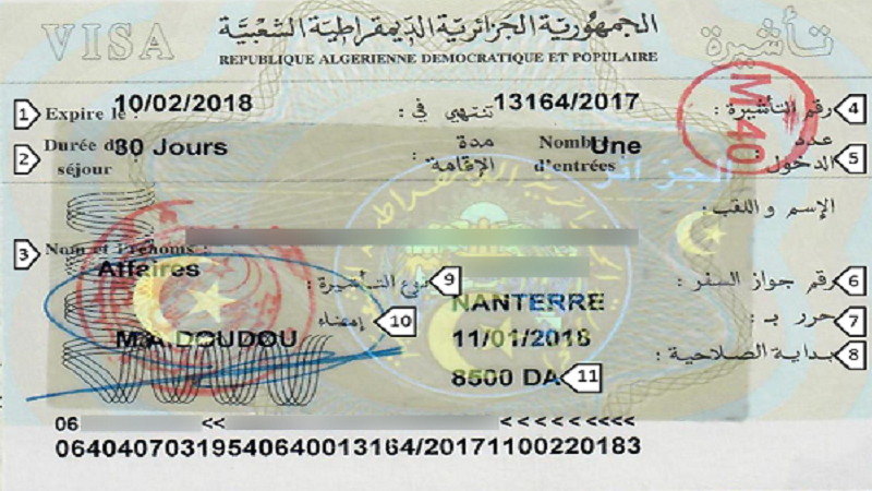  Comment faire un visa pour voyager en Algérie ?