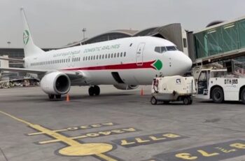 Domestic Airlines