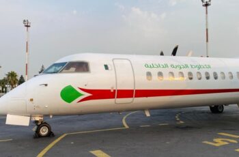 Domestic Airlines