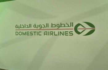 Domestic Airlines