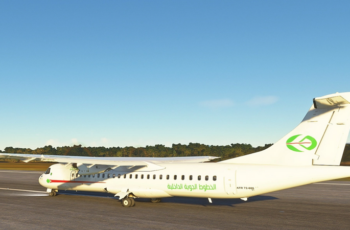 Domestic Airlines